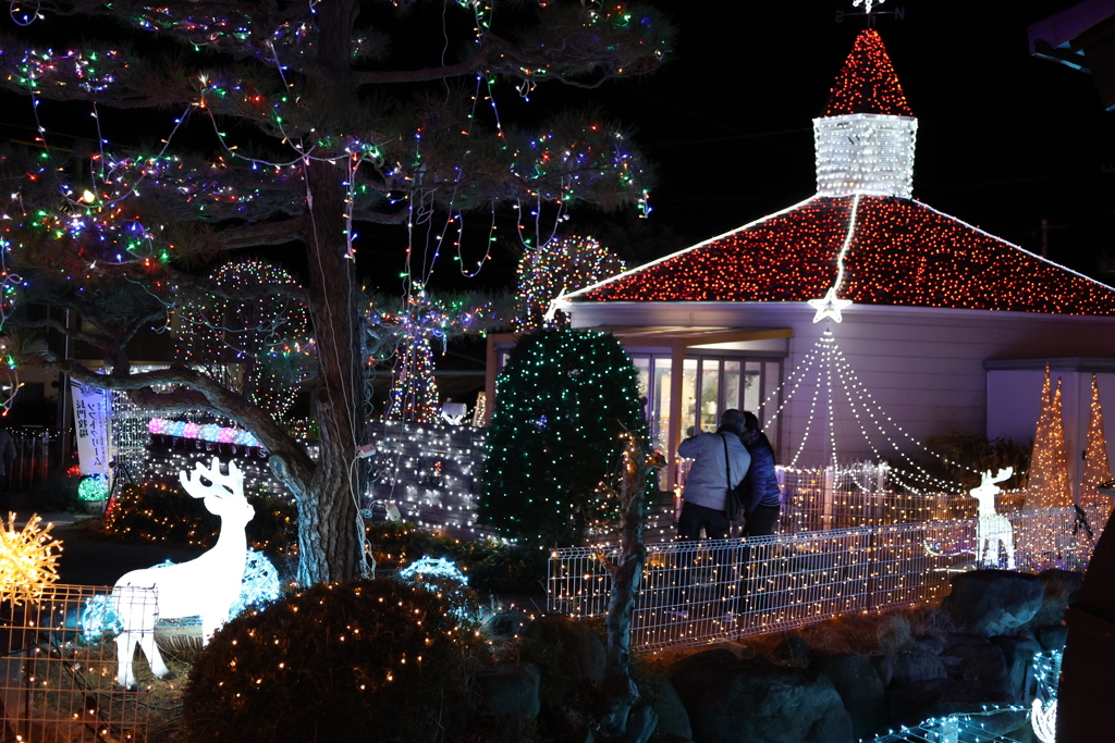 Winter illumination 2020 ０２９