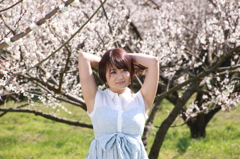 梅の国のアイドル２３