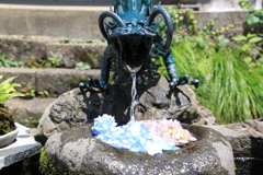 花手水舎