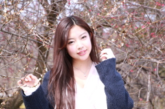 梅の女王２