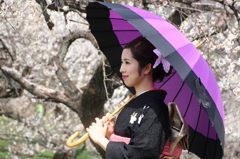 着物美人４