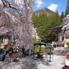 山寺の春