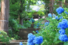 山門へと誘う蒼の世界