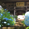 山門の青の神秘２