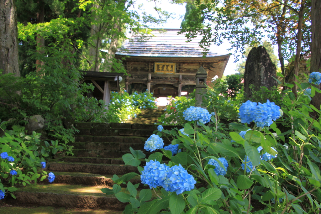 山寺の青の宝石０２～神秘・忍耐強い愛情～