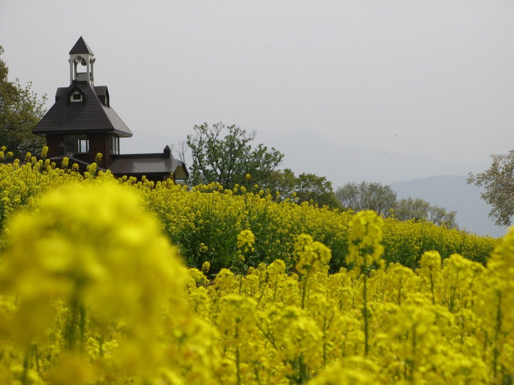 黄色の瞬間（とき）