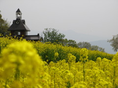 黄色の瞬間（とき）