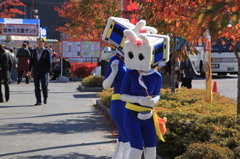セクシーゆるキャラ