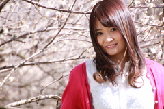 梅の国のアイドル１１