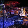 2018 クリスマス・イルミネーション４０