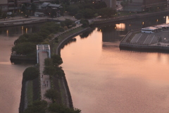 Yokohama of the morning glow