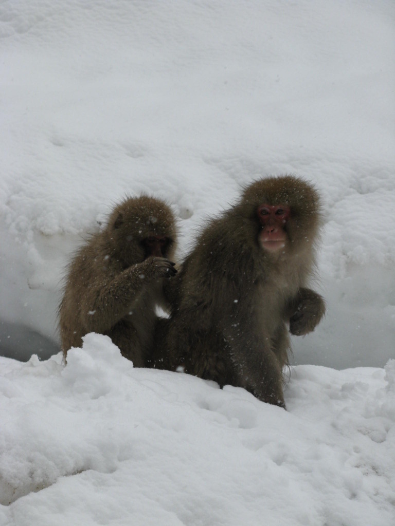 みーつけ！　いたの？