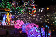 Winter illumination 2020 ０１８