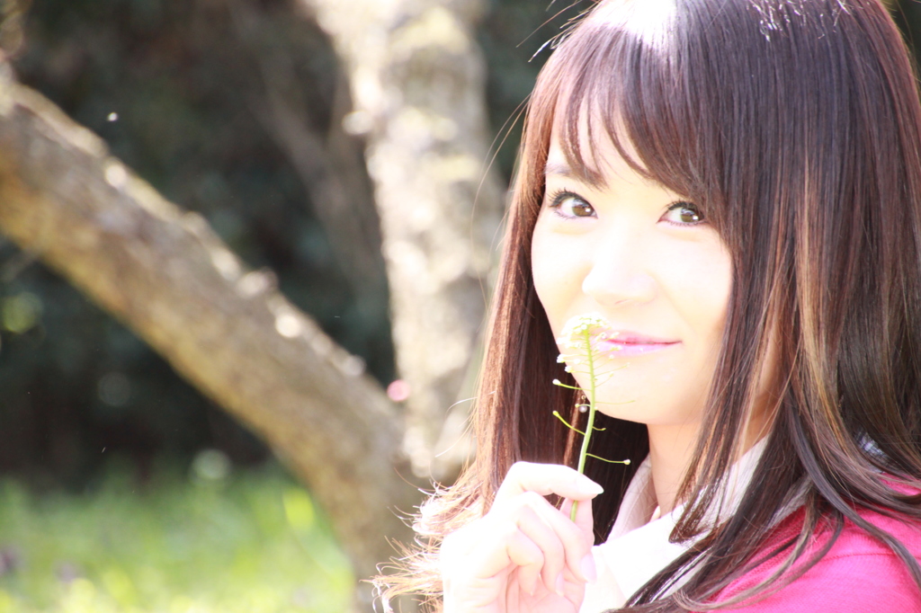 梅の国のアイドル１０