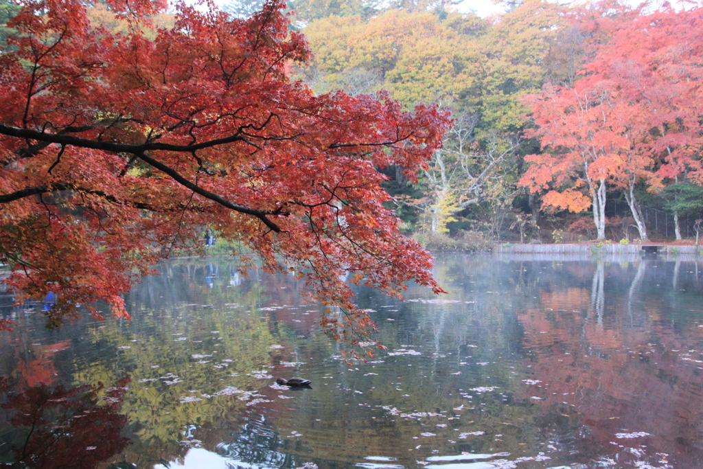 避暑地軽井沢の秋１０