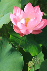 天上天下唯我独尊