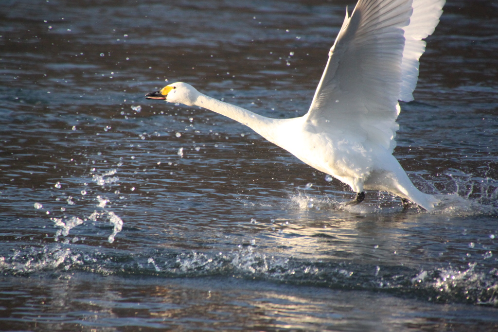 The Chikuma River runway take-off０３