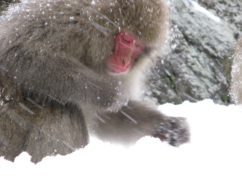 寒い時は、とりあえず食べよっと…