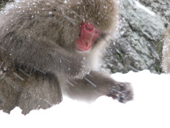 寒い時は、とりあえず食べよっと…