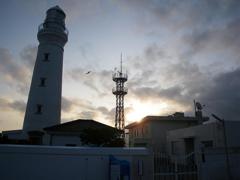 犬吠埼燈台夜明けの海鳥