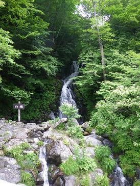 初夏の白瀧