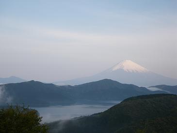 大観山の朝もや富士