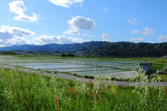 伊賀の風景