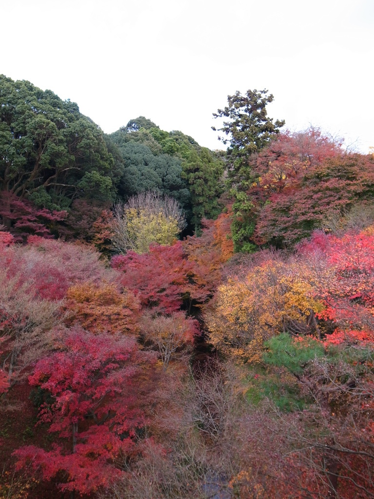 東福寺２