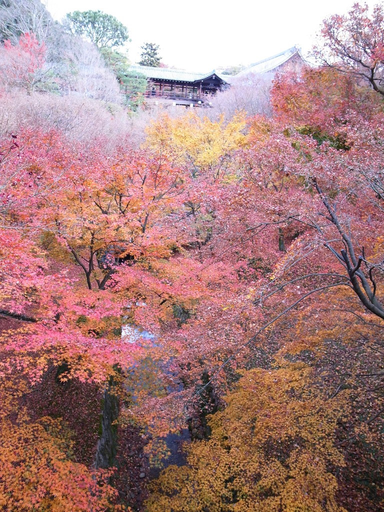 東福寺