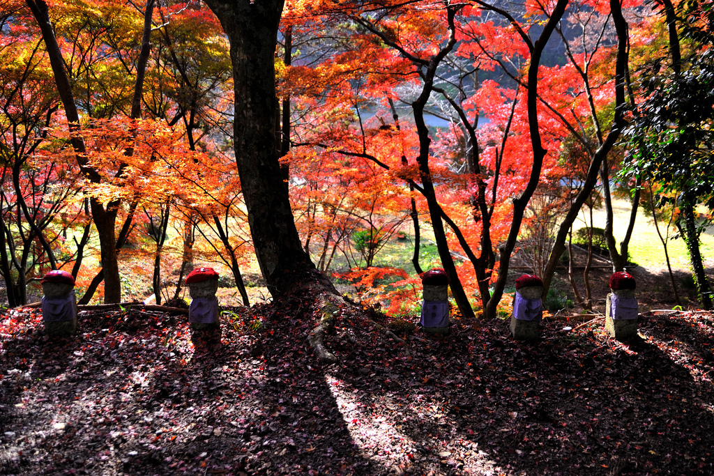 紅葉影