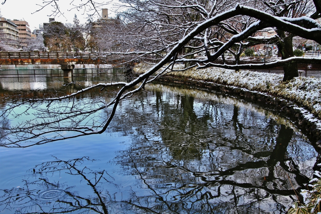 公園の冬景色