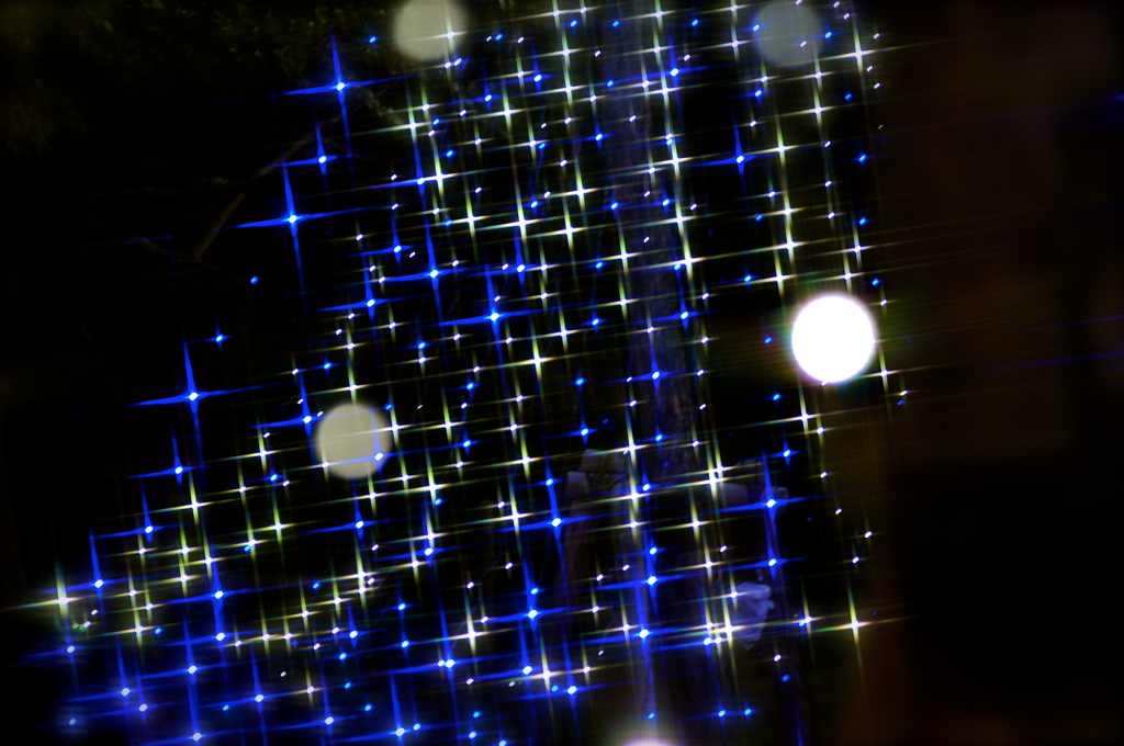 キセキの夜