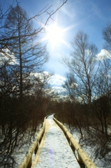 winter promenade