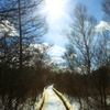 winter promenade