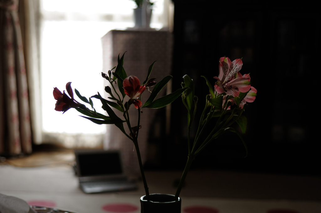 日常にある花