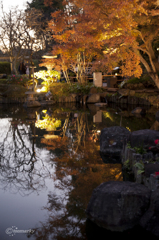 長谷寺