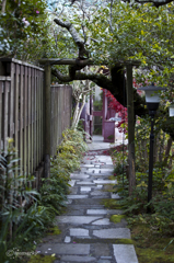 光則寺