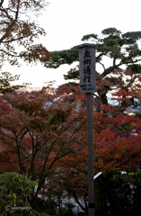 長谷寺