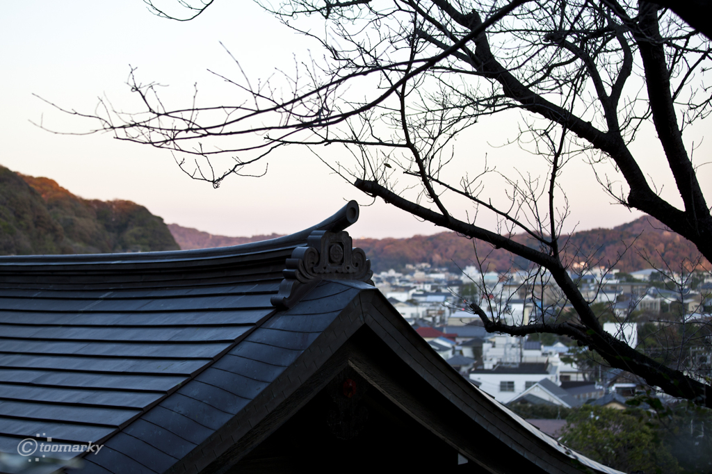 長谷寺