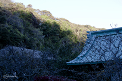 光則寺