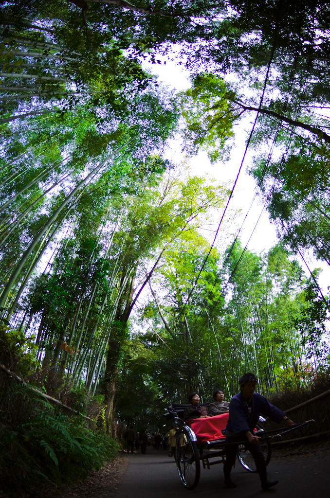 竹林の小道