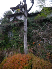拝啓。落城しました。