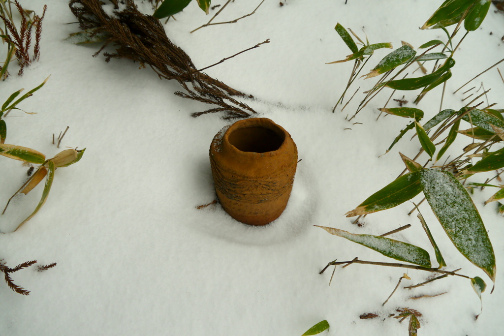 弥生の雪