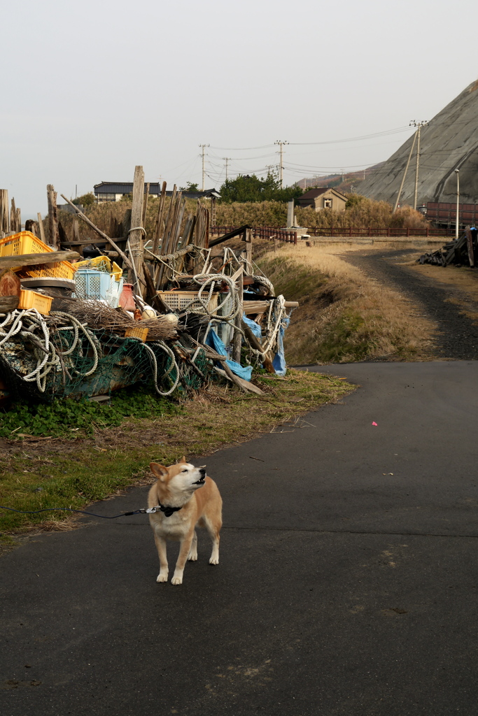 海辺の道で
