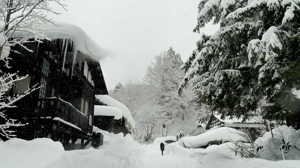 木と家と人と雪