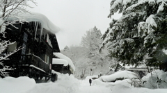 木と家と人と雪