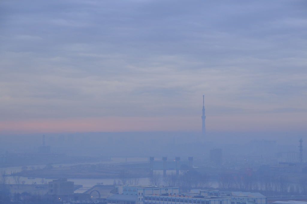 朝霧の風景1