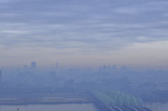 朝霧の風景2