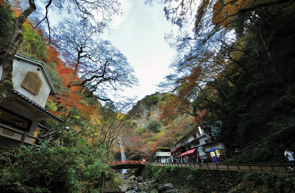 紅葉の滝道