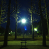 夜の太陽
